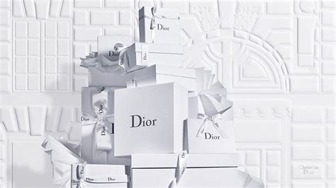 dior bruxelle|official dior website.